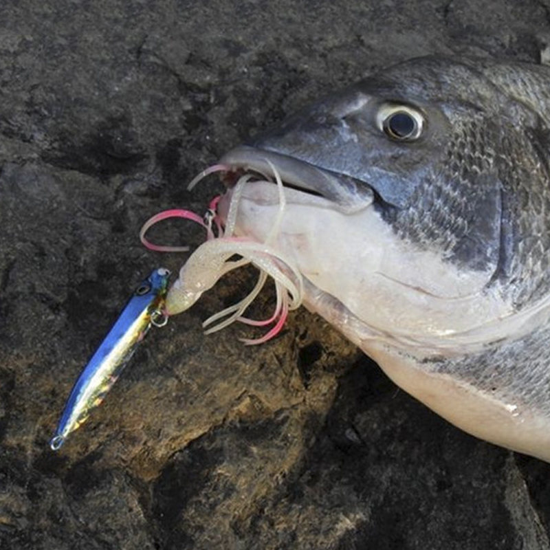 OBSESSION J25 Inchiku ปลาหมึกล - Fishing Lure Buzzbait บทวิจารณ์และราคา